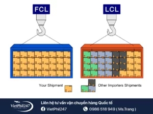 Khác biệt giữa LCL và FCL