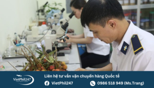 Quy trình xin giấy chứng nhận kiểm dịch thực vật (Phytosanitary Certificate)