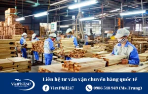Thủ tục xuất khẩu gỗ ván ép: thủ tục hải quan tại cửa khẩu xuất
